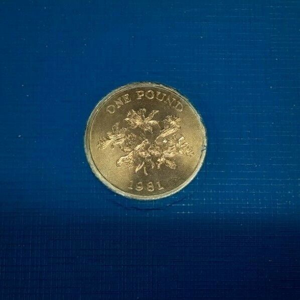 1981 Guernsey 1 Pound Coin BU in Holder  KM#37