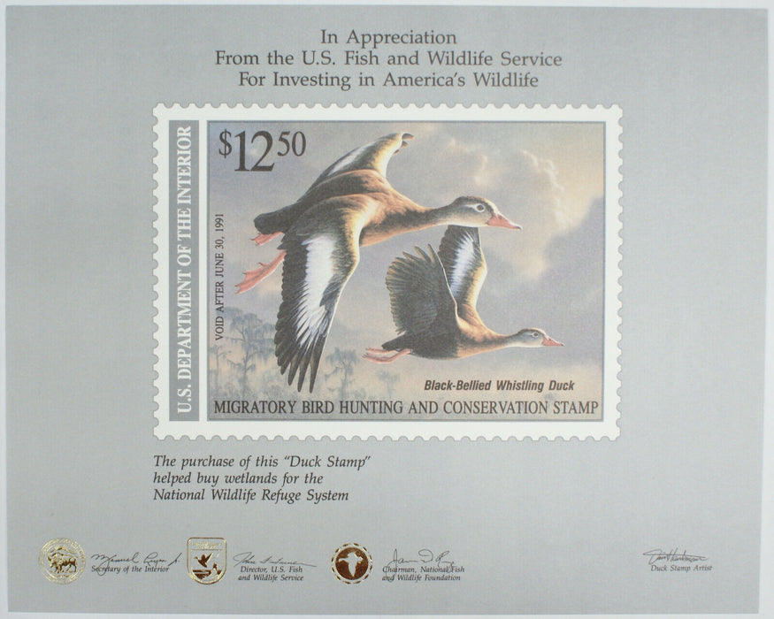 BEP Souvenir Card BD 4 1990 Black-Bellied Whistling Duck Card w $12.50 Stamp