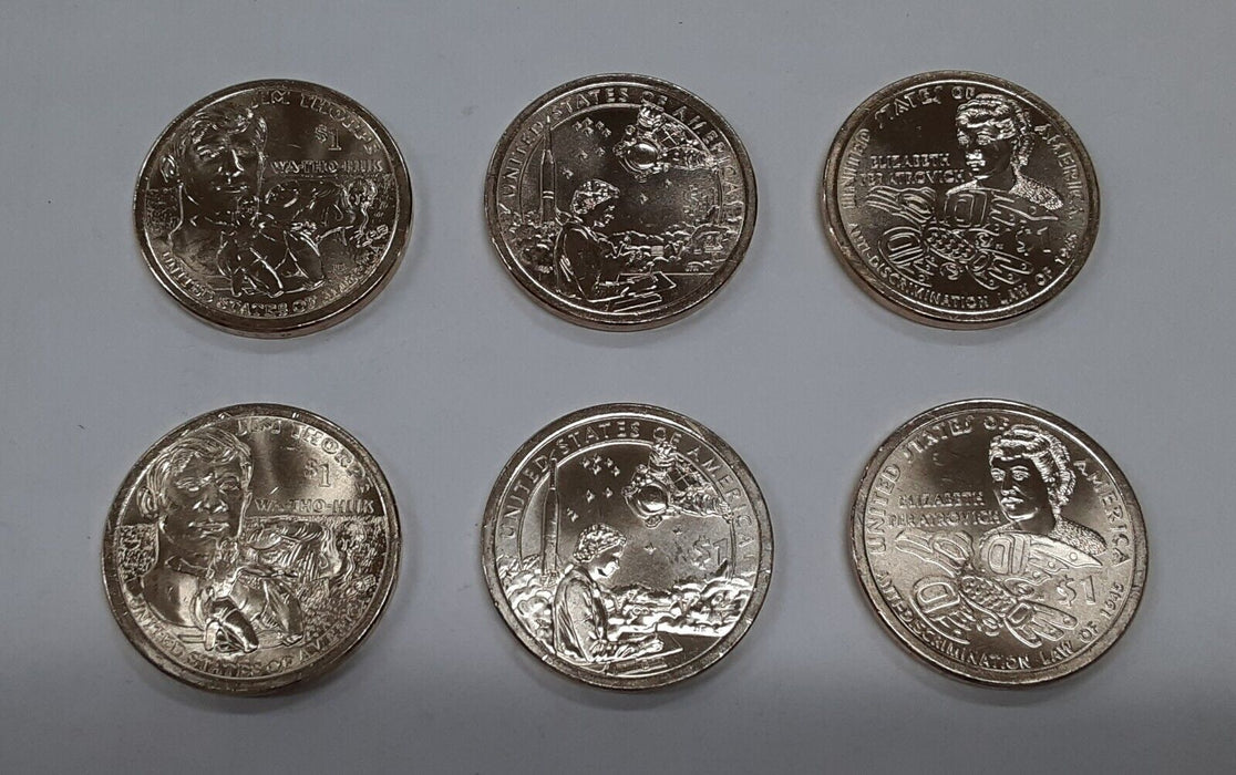 2018-2020 P & D Native American Dollar Mint Set - 6 BU Coins in Littleton Tube