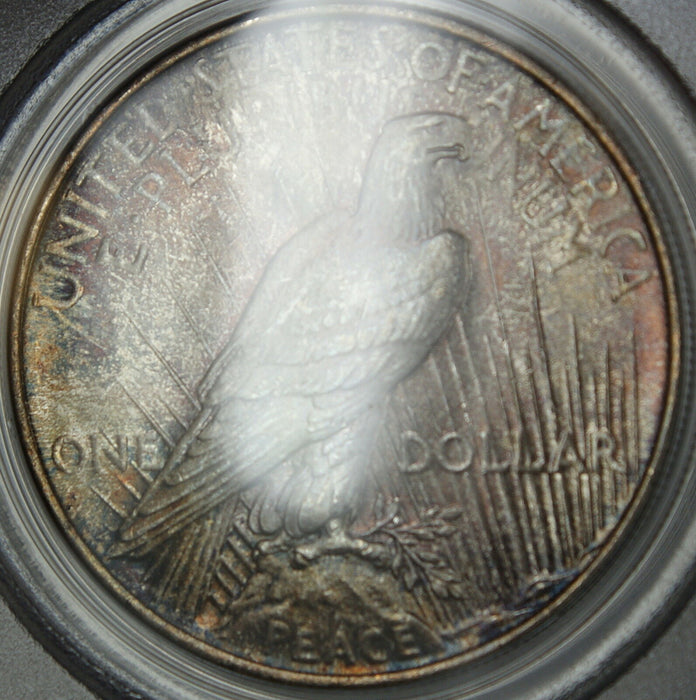 1924 Peace Silver Dollar, PCGS MS-64 *Beautiful Toning* Toned