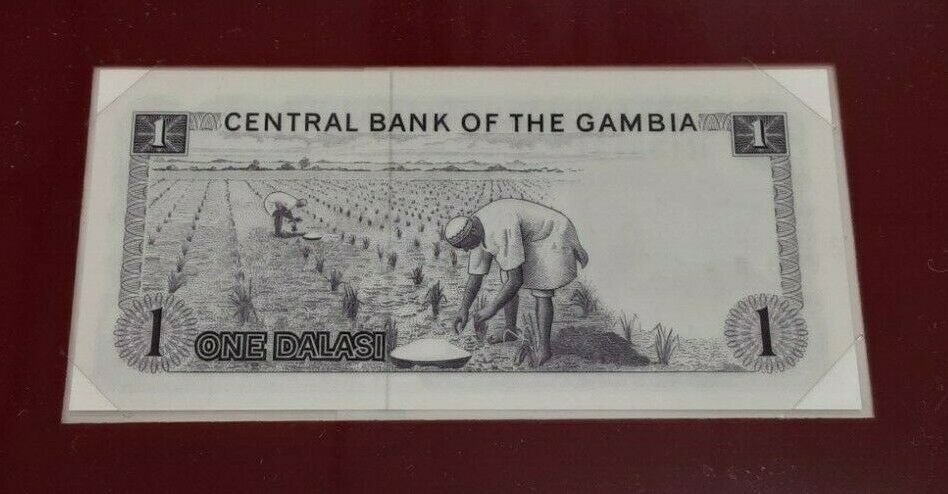 1987 The Gambia One Dalasi Banknote Crisp Uncirculated in Stamped Envelope