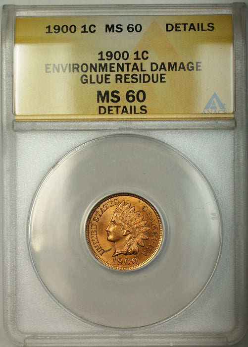 1900 Indian Head Cent 1c Coin ANACS MS-60 Details Environmental Damage Glue Res.