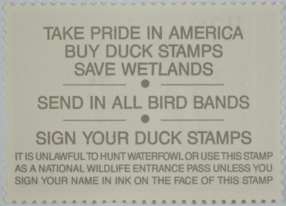 BEP Souvenir Card BD 4 1990 Black-Bellied Whistling Duck Card w $12.50 Stamp