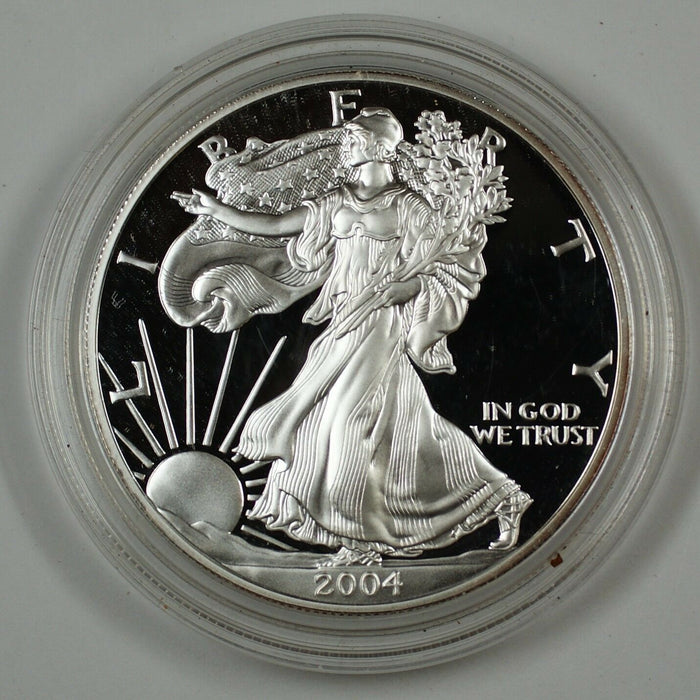 2004 American Silver Eagle ASE Proof GEM Coin in Hard Plastic Capsule