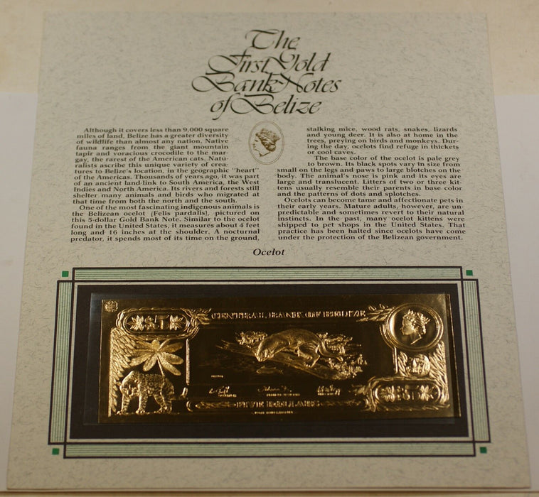$5 Ocelot- The First Gold Bank Notes of Belize w/ Presentation Card